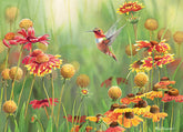Rufous Hummingbird 500pc puzzle - Starbase 505